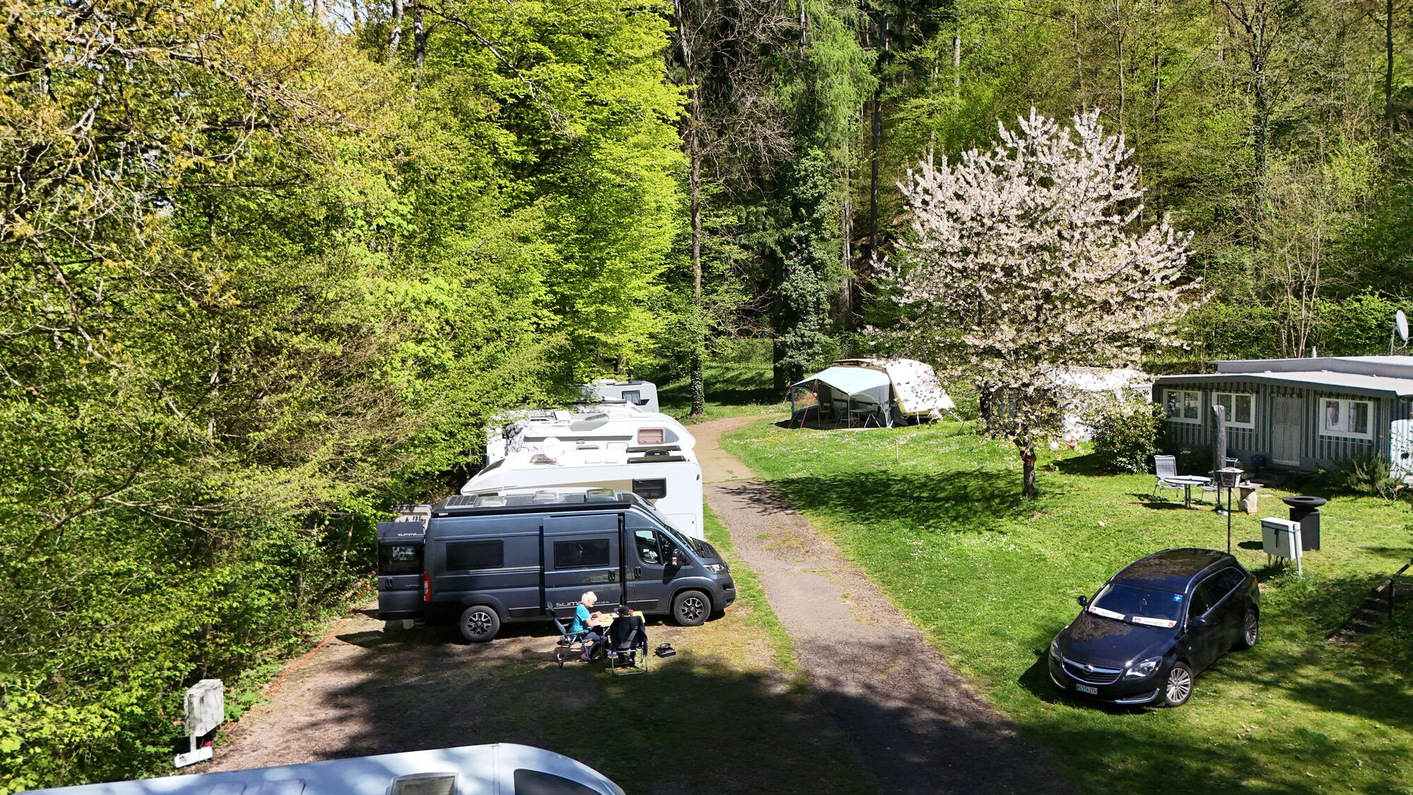 Schlchttal Naturcamping - Camping & Gaststube im Schwarzwald